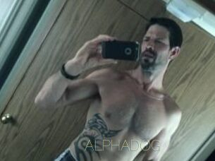 ALPHADOG