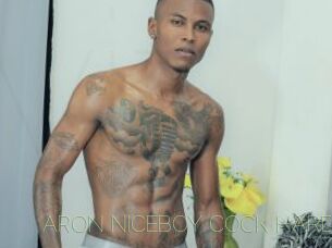 ARON_NICEBOY_COCK_HARD