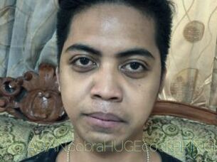 ASIANcobraHUGEcockPRINCE Visio Tchats