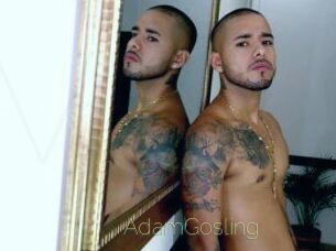 AdamGosling