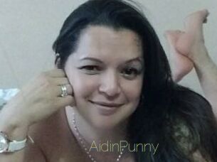 AidinPunny