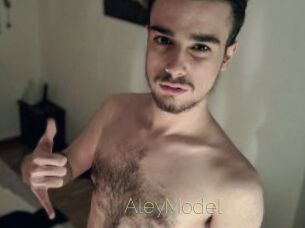 AleyModel