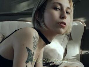AliceWheeler Visio Tchats