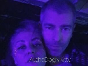 AlphaDogNKitty