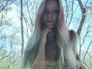 AmbrosiaMae