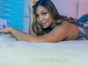 AmeliaBridge Visio Tchats