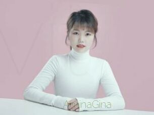 AminaGina