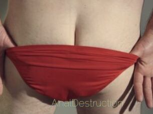Anal_Destruction