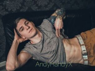 AndyHandyX