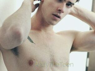AndyTheTeen