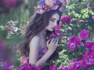 AngelFlyLaVid