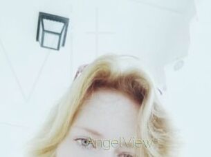 AngelView