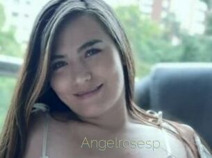 Angelrosesp