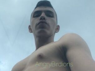 AngryBirdions