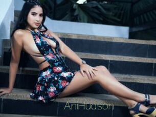 AniHudson