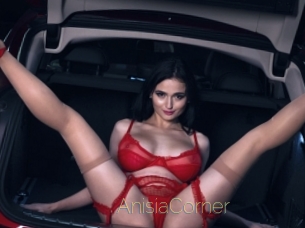 AnisiaCorner
