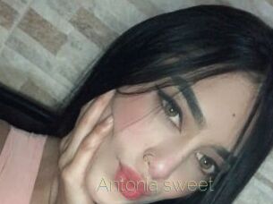 Antonia_sweet