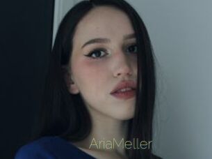 AriaMeller