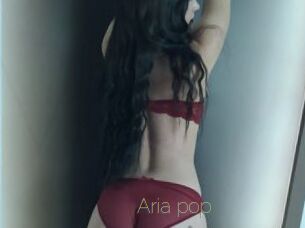 Aria_pop