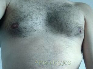 Arnaud95300