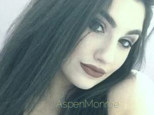 AspenMonroe Visio Tchats