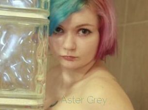 Aster_Grey