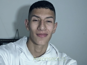 Aaronseb129