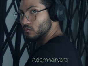 adamhairybro Visio Tchats