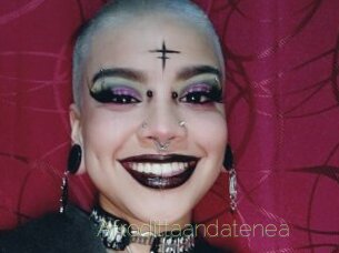 Afrodittaandatenea