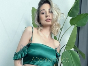 Aftonhamblett
