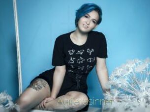 Agiterasinner