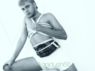 Agnidush66