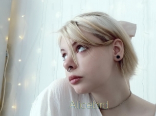 Alicebird