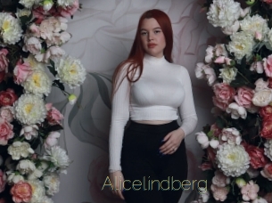 Alicelindberg
