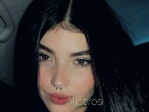 Alicerosi