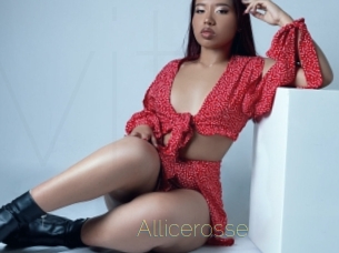 Allicerosse