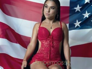 Amberroosse