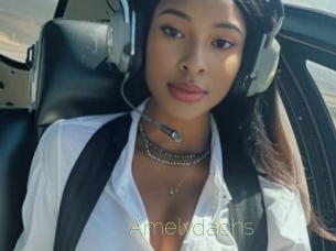 Amelydachs