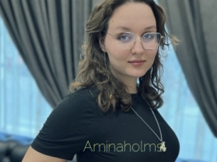 Aminaholms