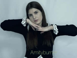 Amityburner