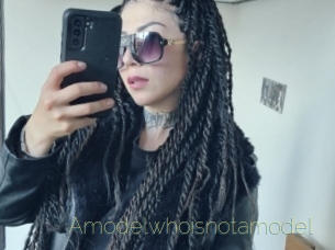 Amodelwhoisnotamodel