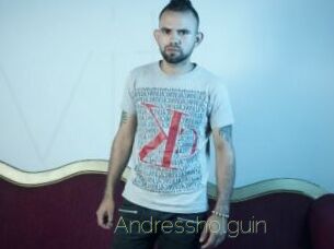 Andressholguin