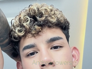 Andrewtowers