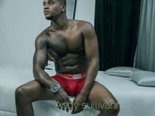 Andy_sullivann
