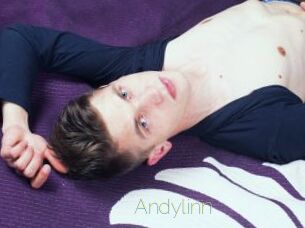 Andylinn