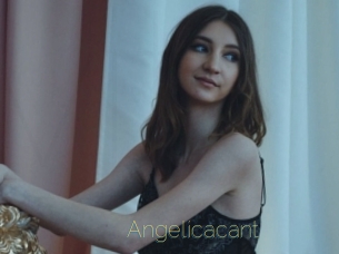 Angelicacant