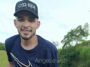Angellewish