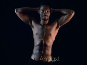 Anibigxl