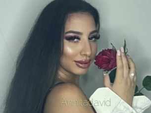 Annitadavid