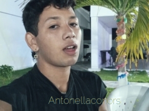 antonellaconors Visio Tchats